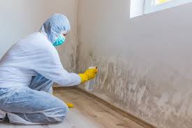 Best Mold Removal for HVAC Installations in West Milwaukee, WI