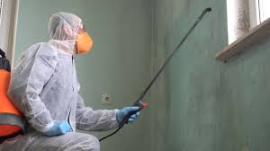 Mold Remediation for Vacation Homes