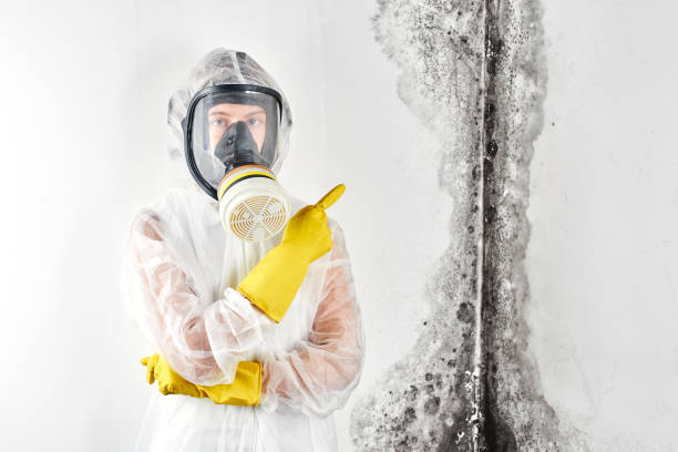  West Milwaukee, WI Mold Removal Pros