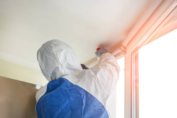 Best Basement Mold Removal in West Milwaukee, WI