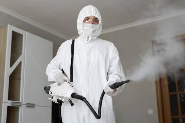 Why You Should Choose Our Mold Remediation Services in West Milwaukee, WI